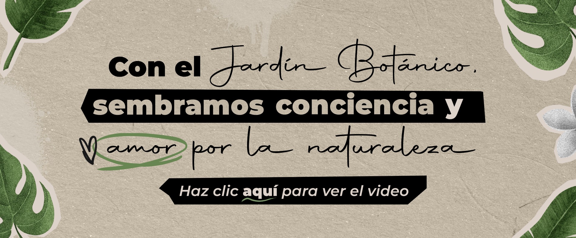 Jardín Botánico